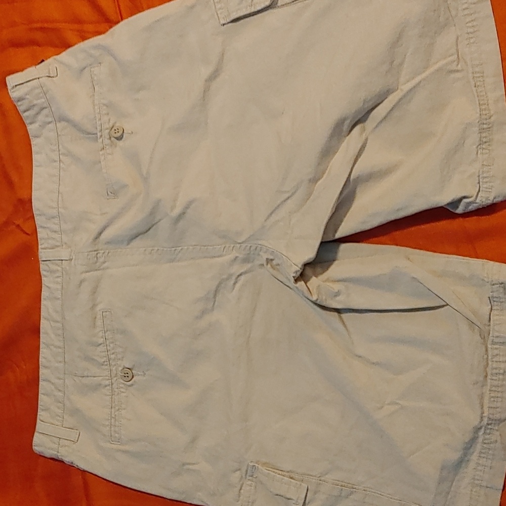 🐸Dockers Shorts 38